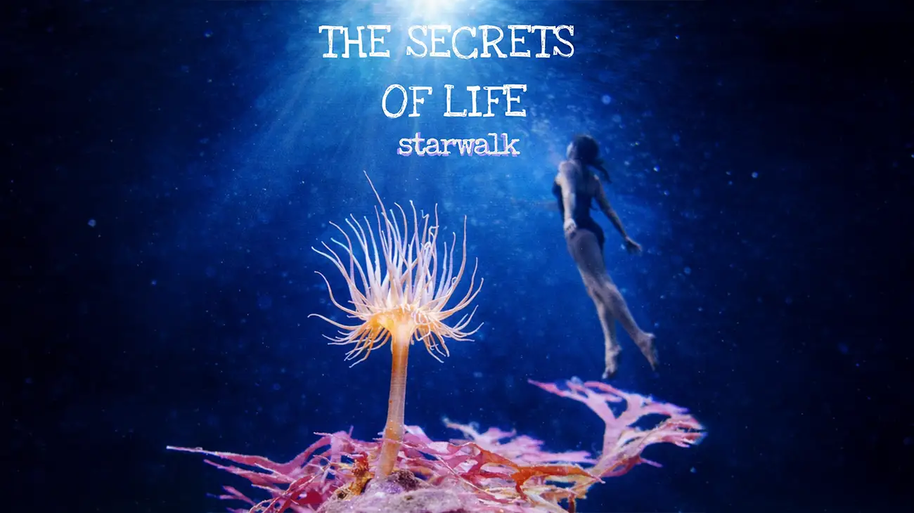Starwalk - The Secrets of Life