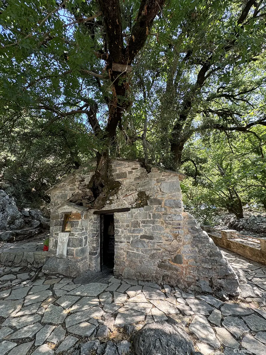 Αγία Θεοδώρα στη Βάστα: Ένα Θαύμα της Φύσης και της Πίστης